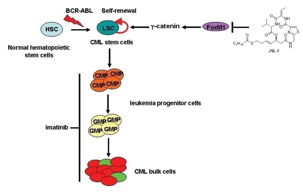 Graphical abstract