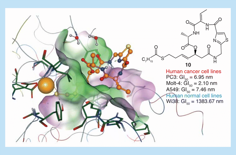 Graphical abstract